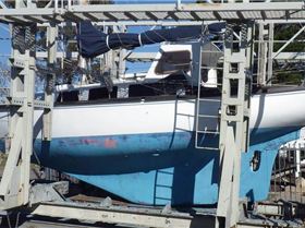 13654144 1081791471868399 4470196505914852465 n