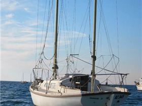 bp4972260496805302427