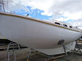 First coat of perfection 008