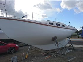 fridays final coat 011