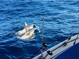 Preparing to leave Esperance
