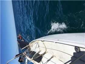 Photo 3-1-17, 8 31 20 am