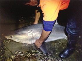 Danny with white pointer 2013