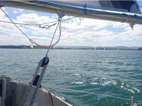 tmp 28136-DSC 0510527677578