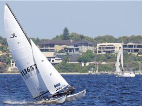 Nedlands Hobie 16 Race