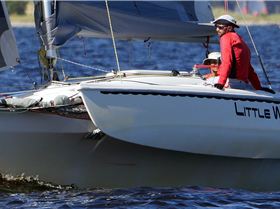 Big Tris and Cats on Swan