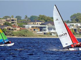 Hobie 16s