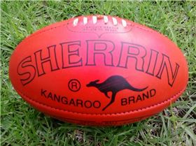 Sherrin footy-e1450221983385