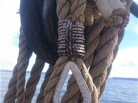 tmp 19319-DSC 0627-920694054