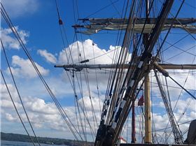 tmp 19319-DSC 06261001543568