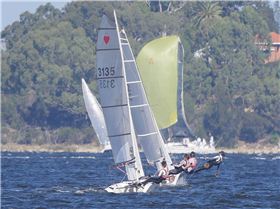 Cherubs on Swan River