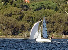 Cherubs on Swan River