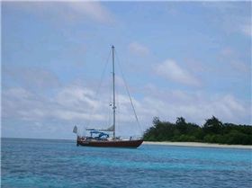 16117197 10154634575476273 1100101789 n