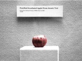 Petrified-apple