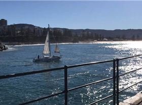 20246315 10203745213787723 9100436909802125041 n