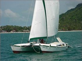 gallery-tikirange-tiki30-46