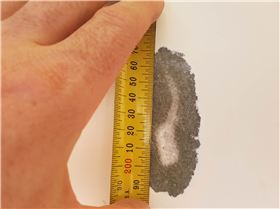 tmp 5787-20171015 1408342031785736