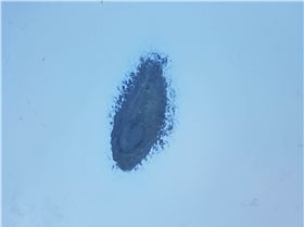 tmp 21332-20171111 0752181119036092