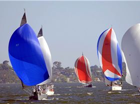Big Spinnakers