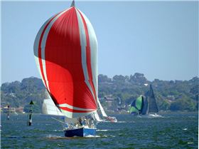 Big Spinnakers