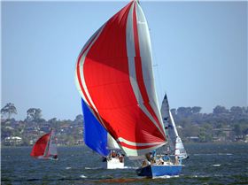 Big Spinnakers