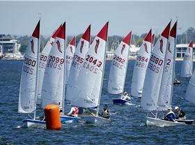 National Sabres 2017