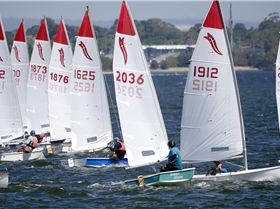 National Sabres 2017