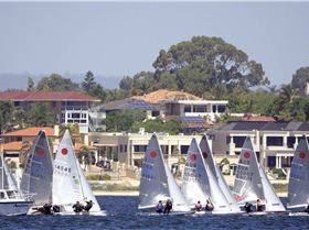 Fireball Championships