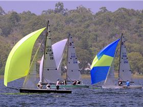 World Viper Championships