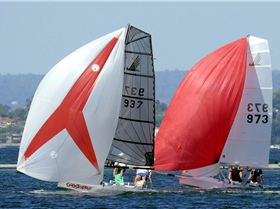 Sharpies and Skates on Swan