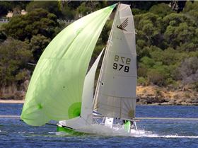 Sharpies and Skates on Swan