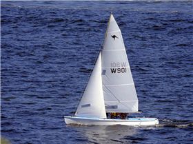 Sharpies and Skates on Swan