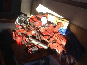 Bukh all forlorn on Cabin sole