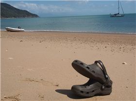 Two Crocs mating on the beach.