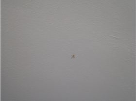 2013.06.27. Zac's SAVAGE 42 Osmosis rep. 021