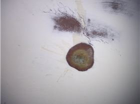 2013.06.22. Zac's SAVAGE 42 016