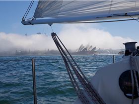 Sydney harbour sailing