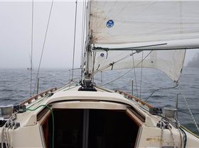 Sydney Harbour Sea Fog