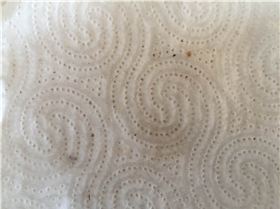 Contents of fuel tank after 30 hours