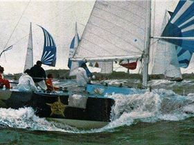 13494959 1250895411589156 4959584386813773220 n