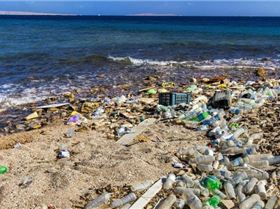 iStock-495172294--tojpeg 1550575046311 x1