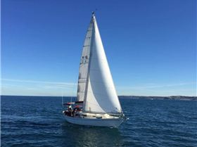 Paloma, a Cav32 in Newcastle