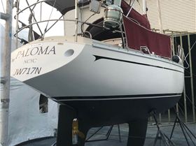 Paloma, a Cav32 in Newcastle