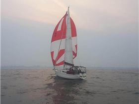 Paloma, a Cav32 in Newcastle