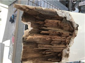 j31ART1+Q0y07tIO8BW5Nw