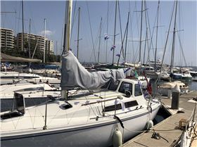 Have Fun with hard dodger