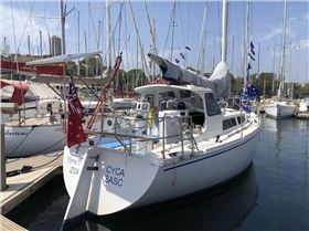 Have Fun with hard dodger