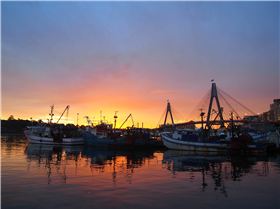 Sydney Fish Markets (1)