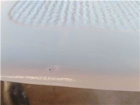 received3641975449156455