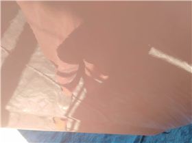 received393219121668314